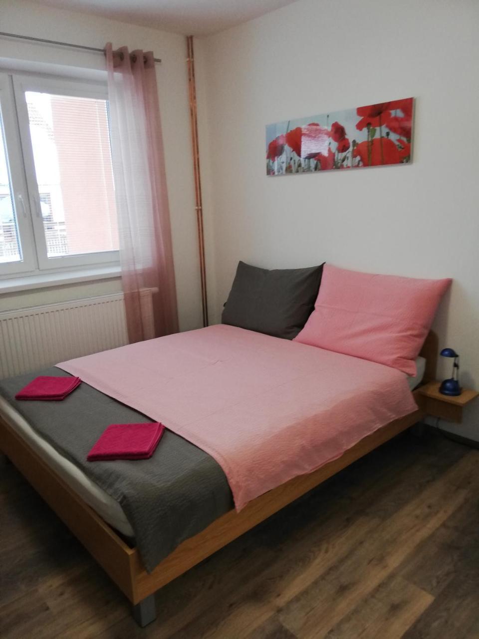 Apartmany Agatha Loučná nad Desnou Extérieur photo