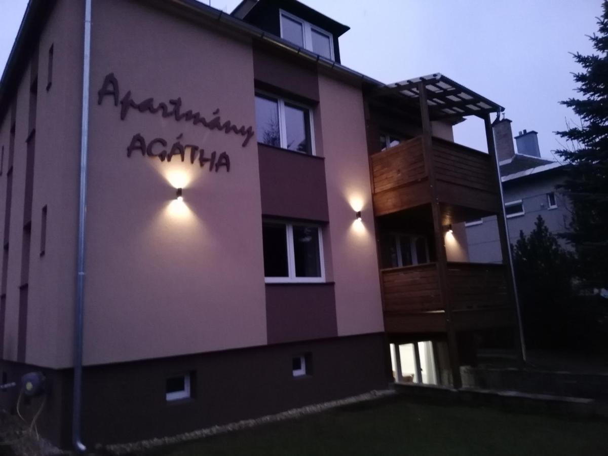 Apartmany Agatha Loučná nad Desnou Extérieur photo